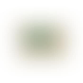 Green carnation (preview)
