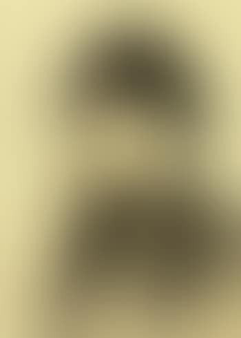 Portrait of bearded man with fur hat (preview)