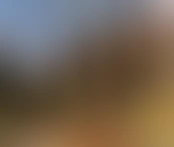 Wood landscape, Tessin (preview)