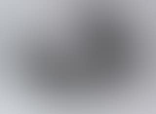 Glaucaous Gull (preview)