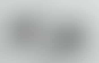 Neophron or Egyptian Vulture (preview)