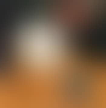 Vogel en masker-bird and mask (preview)