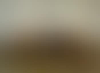 La traite des vaches (preview)