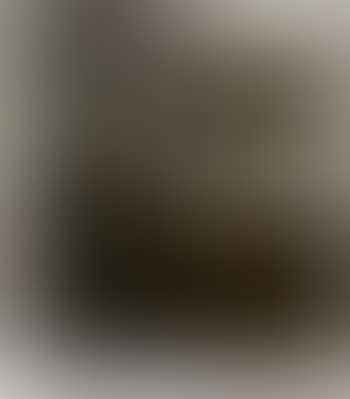 Portrait of four masted schooner, Thomas S Dennison (preview)