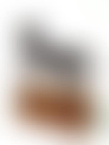 Important cheval cabre (preview)