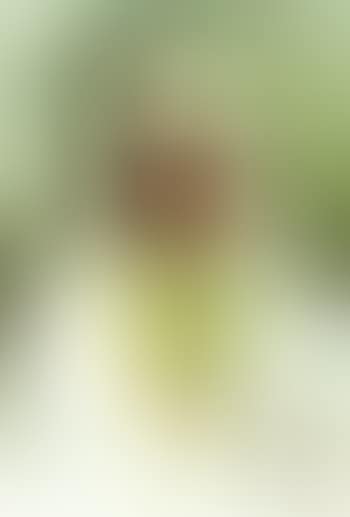 Beaute marocaine (preview)