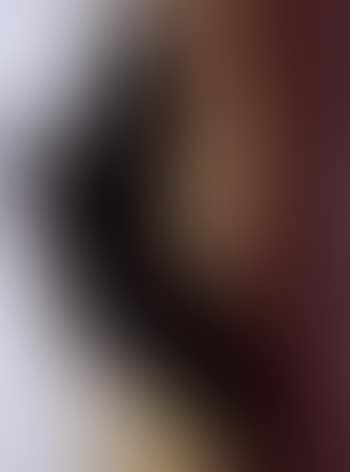T1982-K28 (preview)