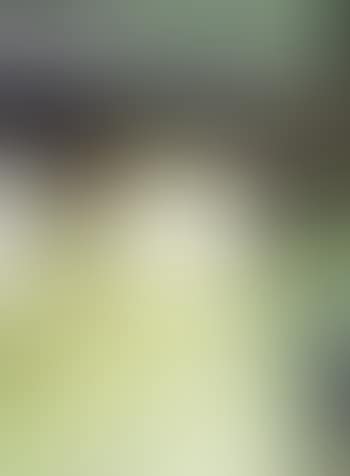 La courtisane (preview)