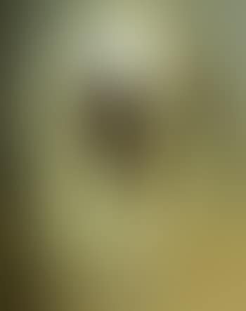 Portrait of an African man (preview)