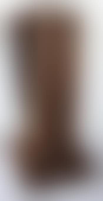 Model for Carnegie (preview)