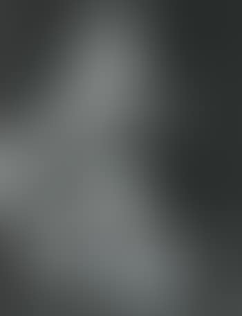 Portrait of commander (preview)