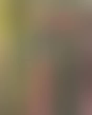 Two females among trees (preview)