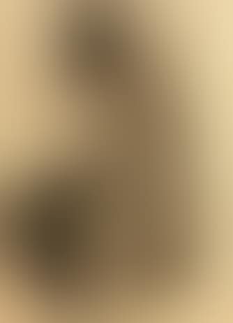 Portrait of a man seated (preview)