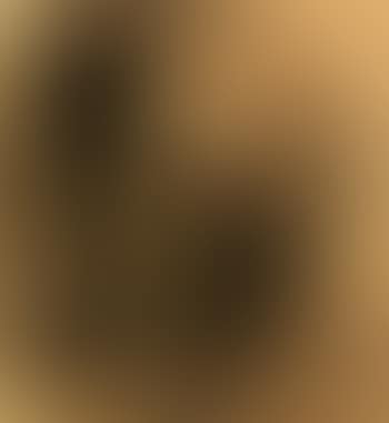 Portrait of a laughing cossack (preview)