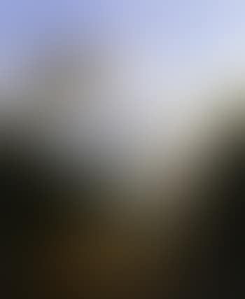 Mountainous landscape with travellers (preview)