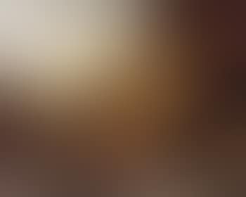 Still life of pineapples, peaches, grapes and ornamentation within landscape (preview)