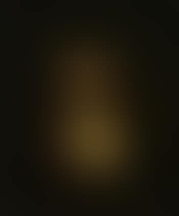 Woman's portrait (preview)