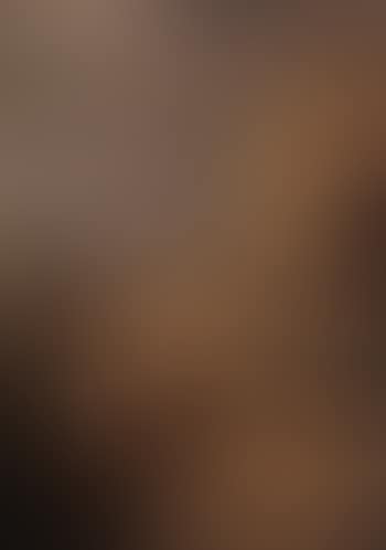 Lamentation of Christ (preview)