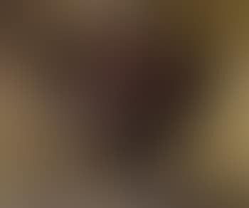 Nature morte au bouquet de fleurs (preview)