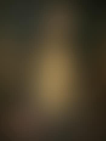 Lucrece (preview)