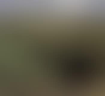 Horseman in blue jacket before hilly landscape (preview)