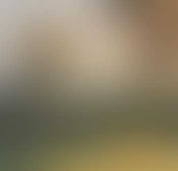 Landscape view from Bellevue (preview)