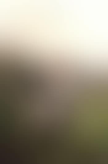 Girl with bouquet of flowers in summer meadow (preview)