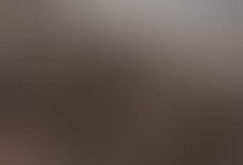 Landscapes with sheep (preview)