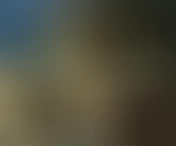 Villanelle (preview)