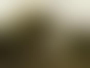 Herdsman with cattle in wooded river landscape (preview)