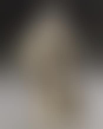 Judith and the head of Holofernes (preview)