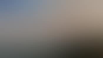 Coastal scene (preview)