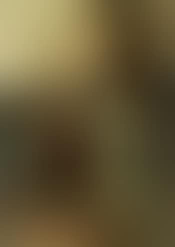 The serenade (preview)