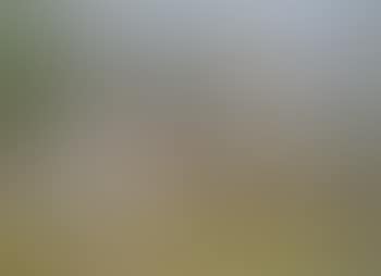 Fifeshire landscape (preview)