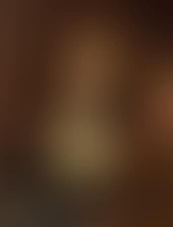 Portrait of Louis Alexandre de Bourbon, Comte de Toulouse (preview)
