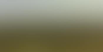 Landscape with fields and edge of forest (preview)
