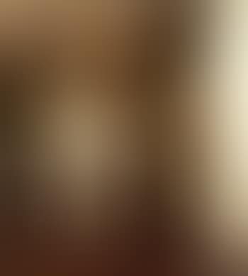 Sunlight streaming through thin, white curtains in artist's sitting-room (preview)