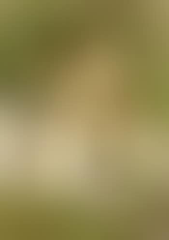 Seated female nude model (preview)