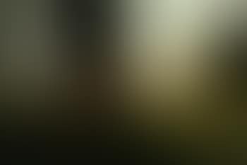 Horses grazing (preview)