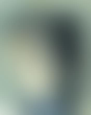 Profile (preview)