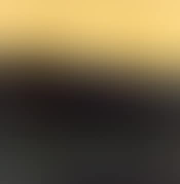 South Canterbury landscape (preview)
