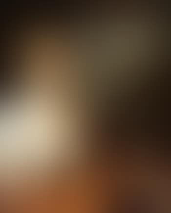 Portrait of a female artist (preview)