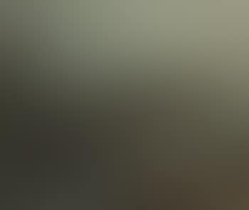 Fog (preview)