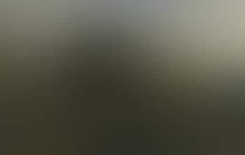 Paysage aux arbres (preview)