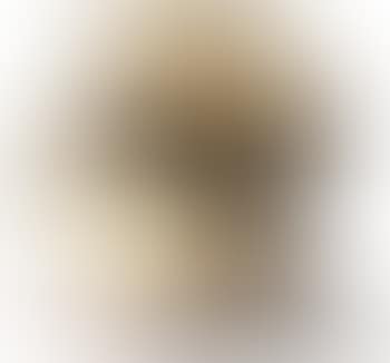 Form (preview)