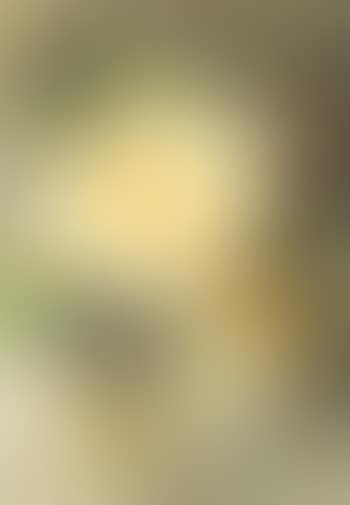 Yellow roses (preview)