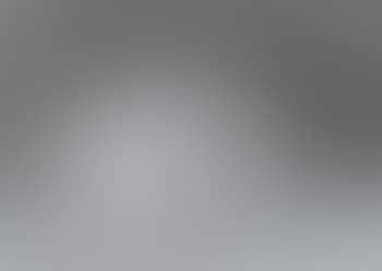 Study of a King Charles spaniel (preview)