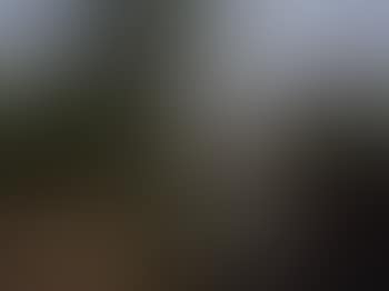Paysage (preview)