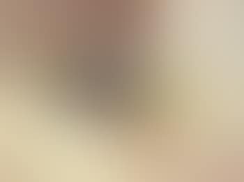 Nature morte aux fleurs (preview)