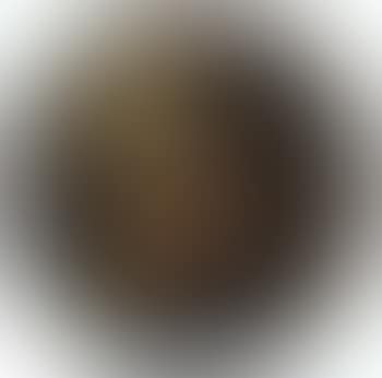 Portrait of young girl in white turban (preview)